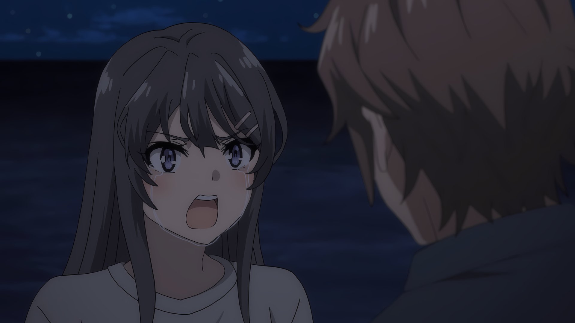 高达师哥的池塘-连通块计数问题